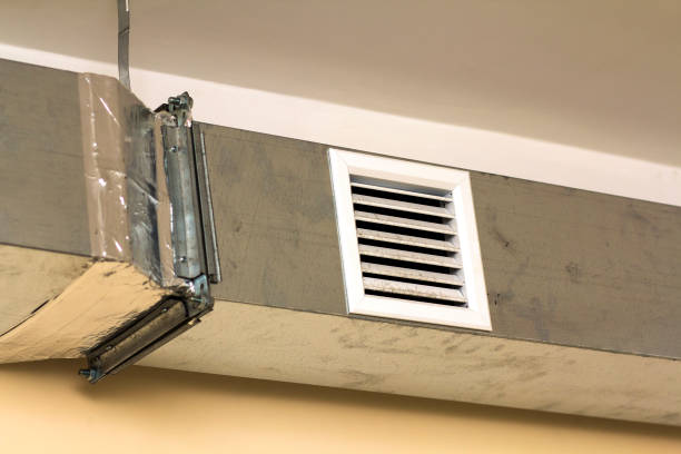 Air Duct Mold Removal in SC
